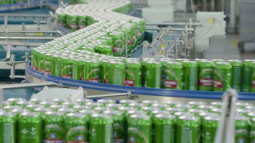 線上線下多維賦能，青島啤酒以品質致敬冬奧會網站建設