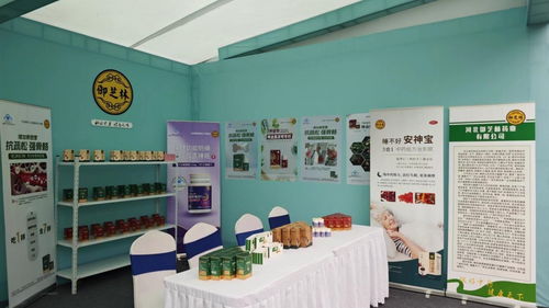 御芝林藥業亮相第三屆扁鵲文化節，多款核心產品與文化創新備受矚目